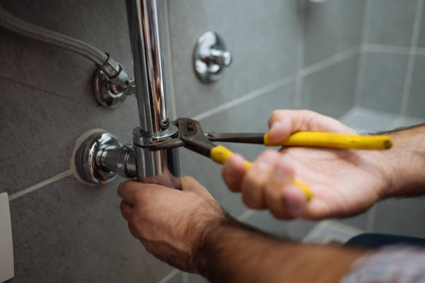 Best Plumbing Inspection Services  in Foothill Farms, CA